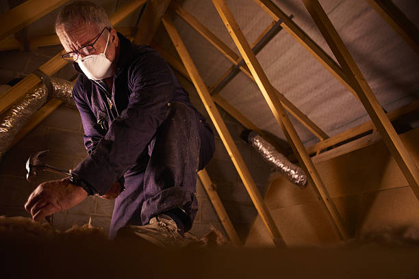 Best Residential Insulation in Berryville, VA